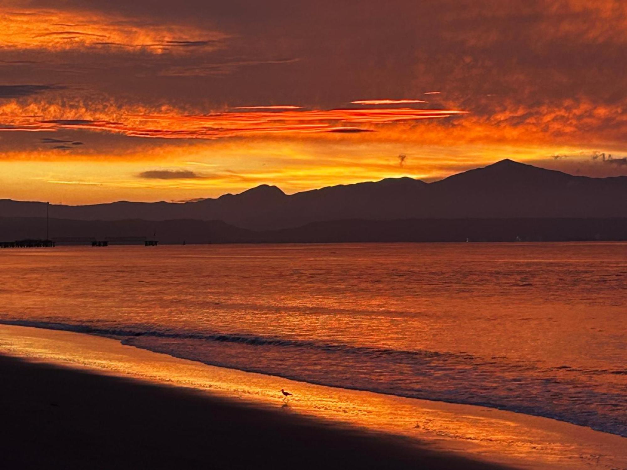 Estudio Junto Al Mar * Puntarenas